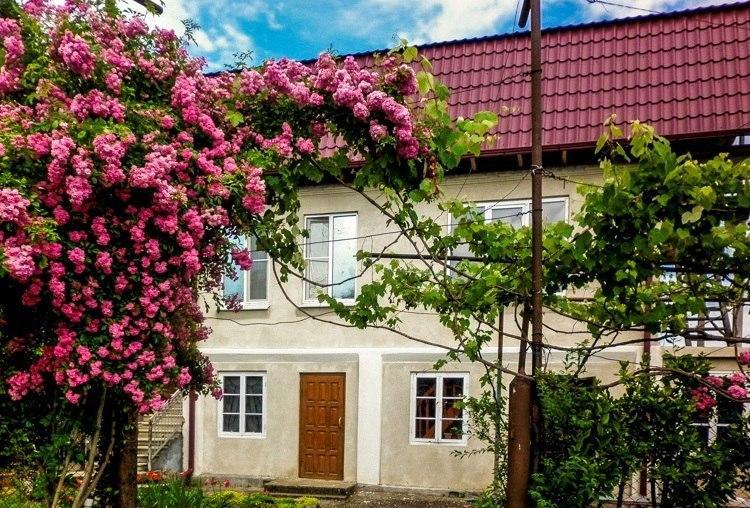 Guest House Anna Sohum Dış mekan fotoğraf