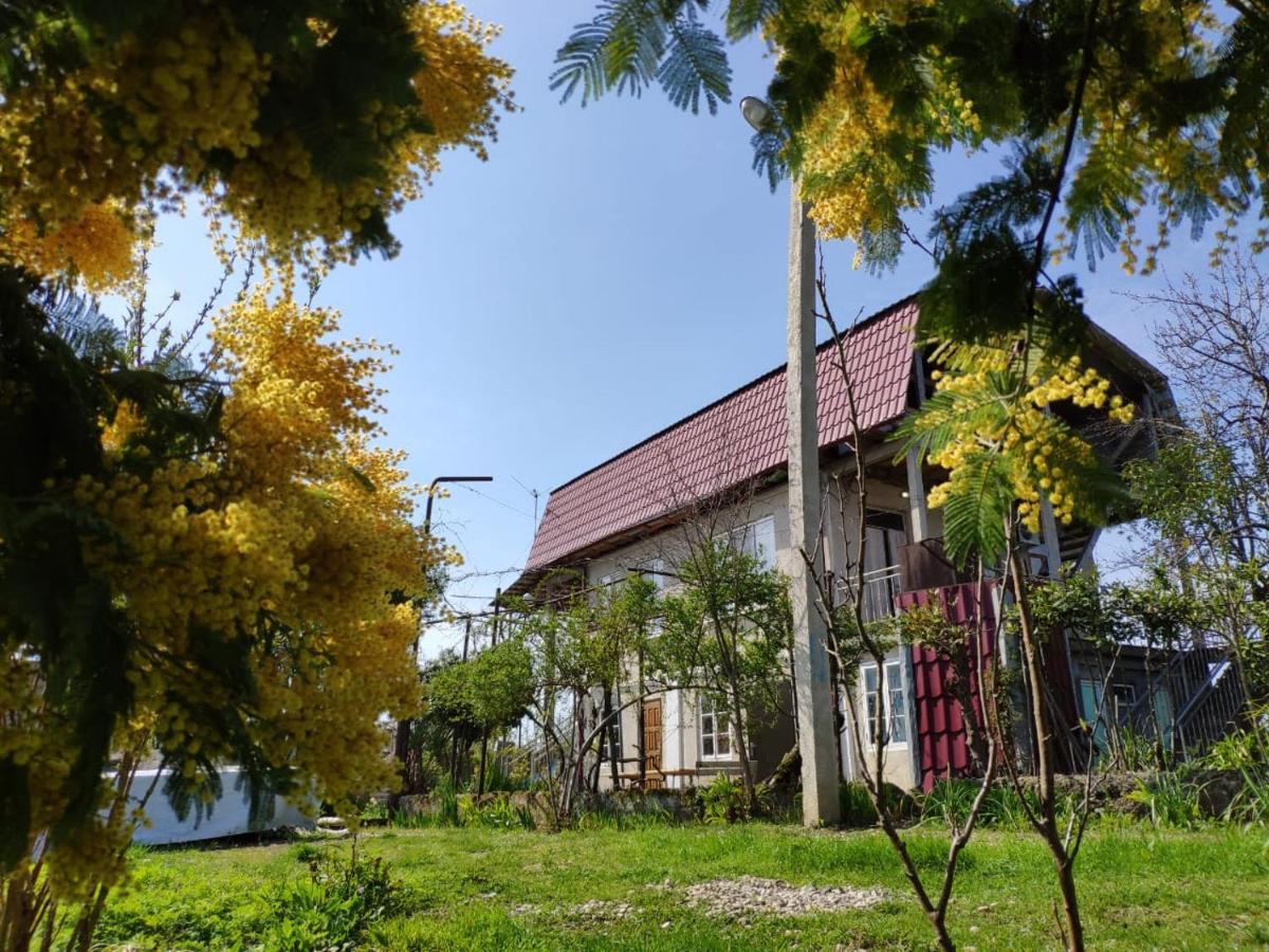 Guest House Anna Sohum Dış mekan fotoğraf